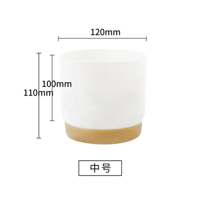 Small White Plastic Flower Dirt pot