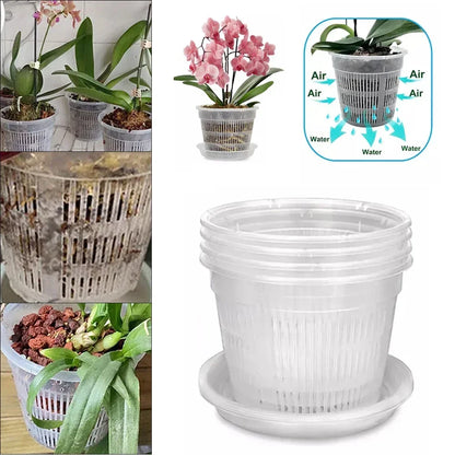 5pcs Orchid Dirt Pot With Saucers Plastic