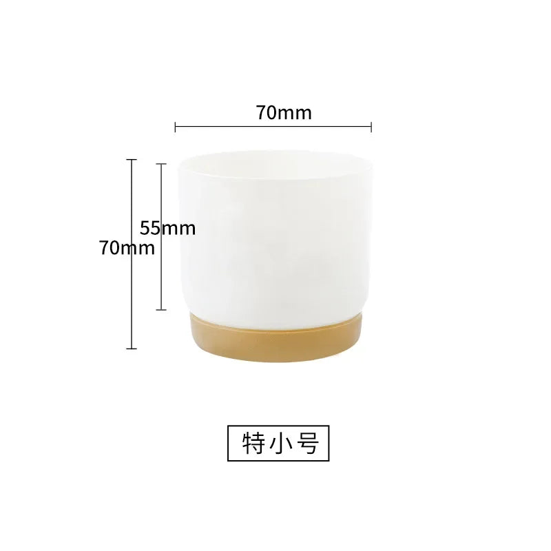 Small White Plastic Flower Dirt pot