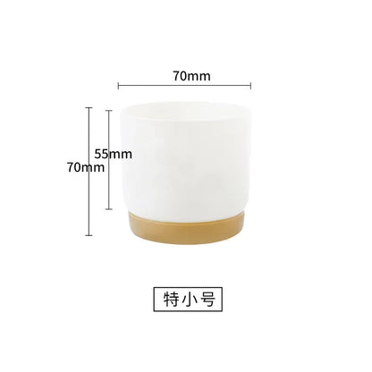 Small White Plastic Flower Dirt pot