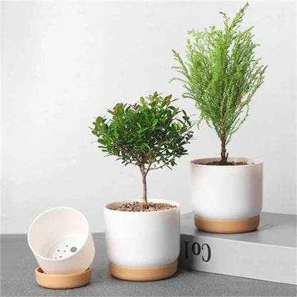 Small White Plastic Flower Dirt pot