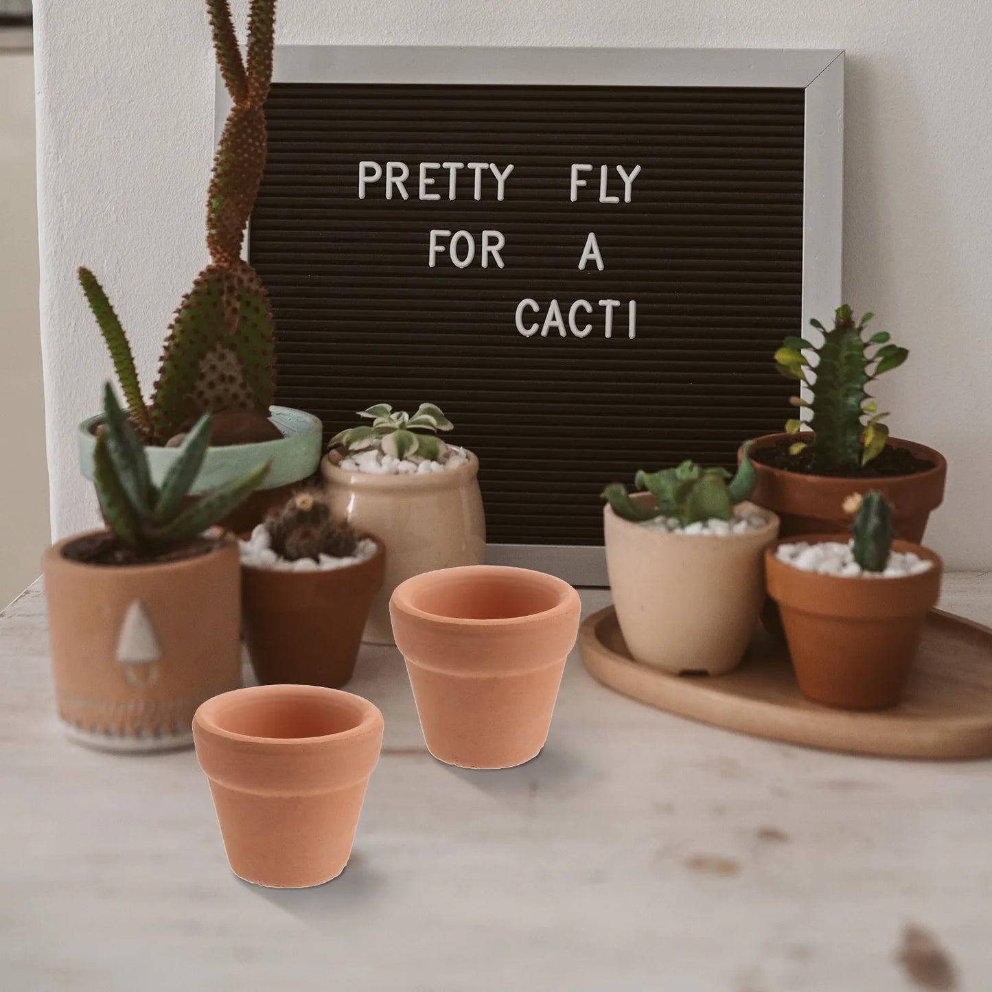 Mini Terracotta Clay Succulent Flower Dirt Pot