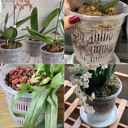 5pcs Orchid Dirt Pot With Saucers Plastic