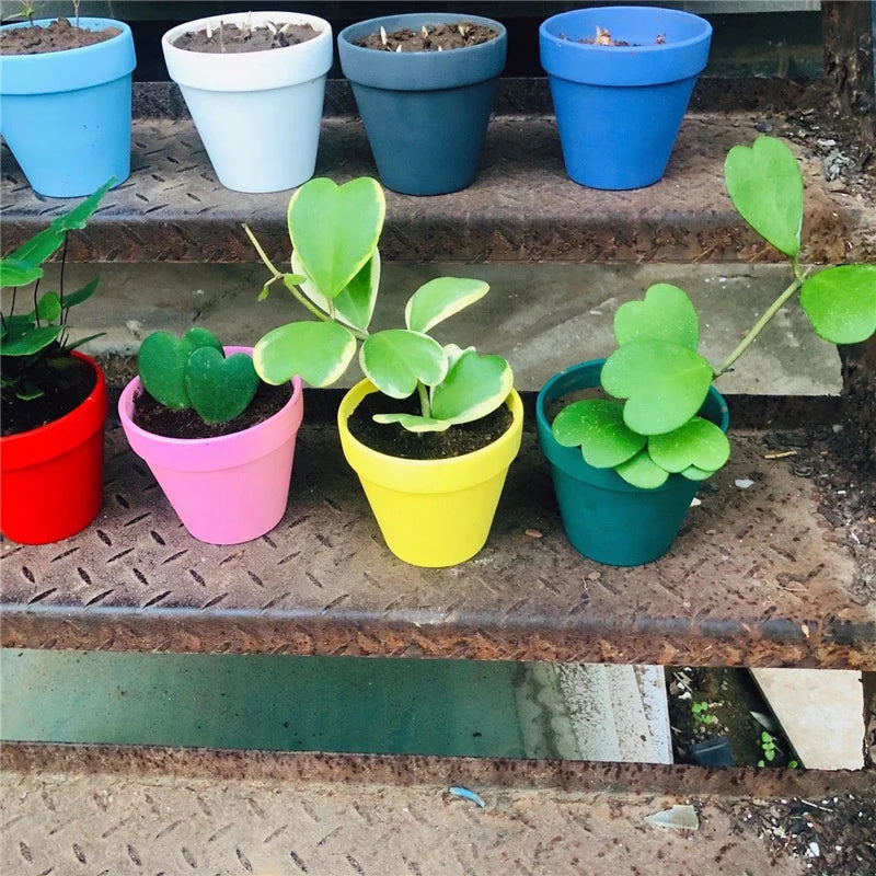 Multi Size Colorful Mini Terracotta Dirt Pot